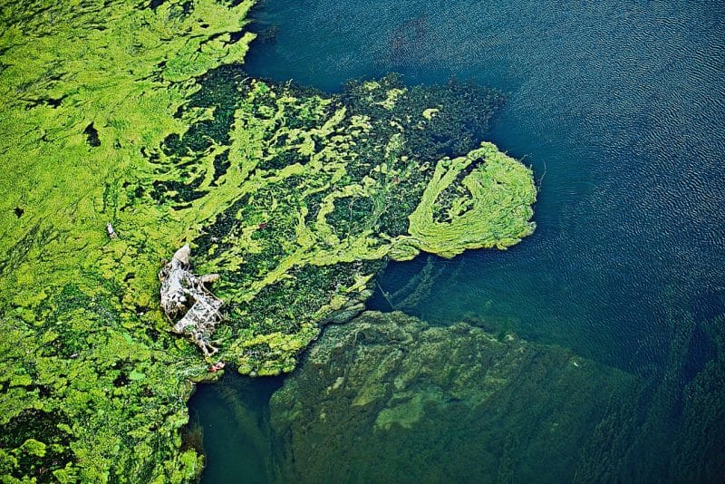 Skażenie wód powierzchniowych