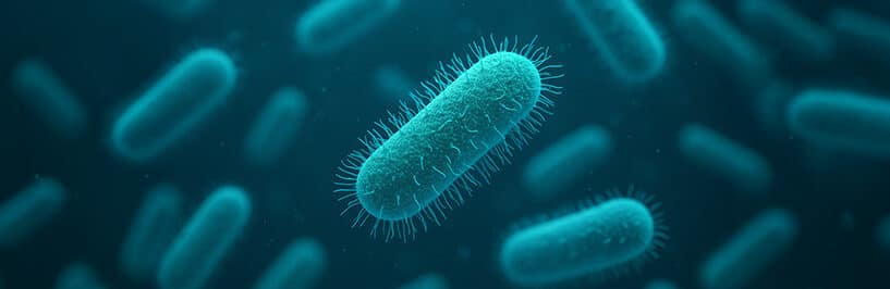 Legionella v Letňanech