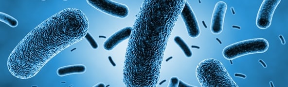 Zestawy dozujące EuroClean DZ - bakterie