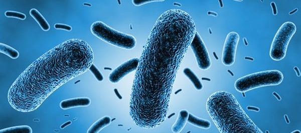 Zmarł mężczyzna  zarażony bakterią Legionella w Hotelu SPA